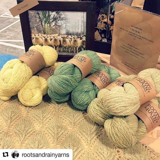 TopsyFarms's tweet photo. Fibrefest is on this weekend. Topsy Farms will be there in this beautiful naturally dyed yarn. In @purlinjs L'il Dorothy too.

@rootsandrainyarns ・・・
FLOCK has arrived!
.
Come see us at @pecfibrefest today only 9-4:30pm for these Limited PECFibresfes… https://t.co/X1nmIqbuFv https://t.co/qhf21sNBsm