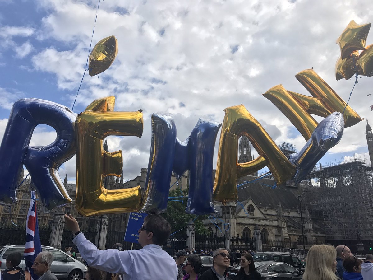 AlexaLondon's tweet photo. I was just scrolling through some old photos. Saw the first big rally #remain rally I attended in Sept 2017. We have come a long way and we will not let #MayResignation slow us down. Have a fab bank holiday #fbpe friends. ๐ช๐บ๐๐ฌ๐ง https://t.co/gSBSZbnbQW