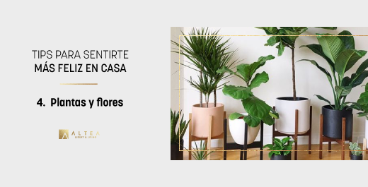 Altea_Living's tweet photo. La presencia de flores💐 desencadena emociones positivas y aumenta los niveles de felicidad, así que ¿hay una mejor excusa para invertir en estos elementos? 🌱🌹
#TipsAltea #FelizSábado https://t.co/LeMzy82rpa