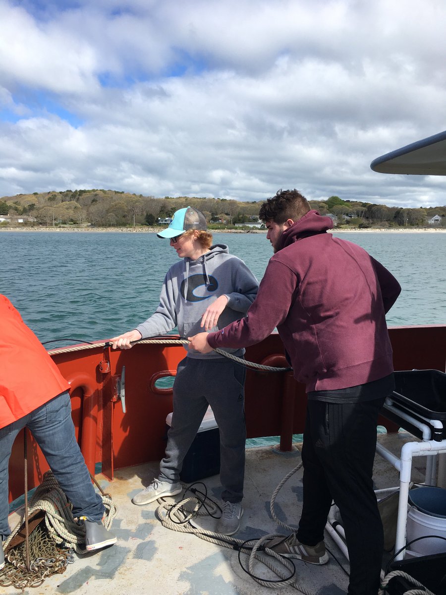 Carol Woodbury tweet media