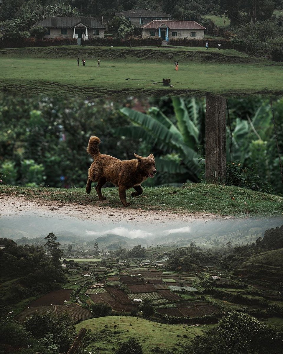 ResortRivulet's tweet photo. Shades of munnar https://t.co/fNC1NM31ZR