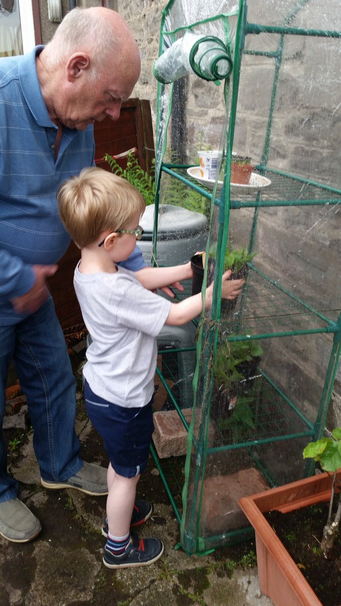 judith_galloway's tweet photo. @mattocks_ps Kyran helping grandad put the flowers in the greenhouse, sweeping Grandma's path and dusting #MM4Matocks https://t.co/KoaumsnYpb