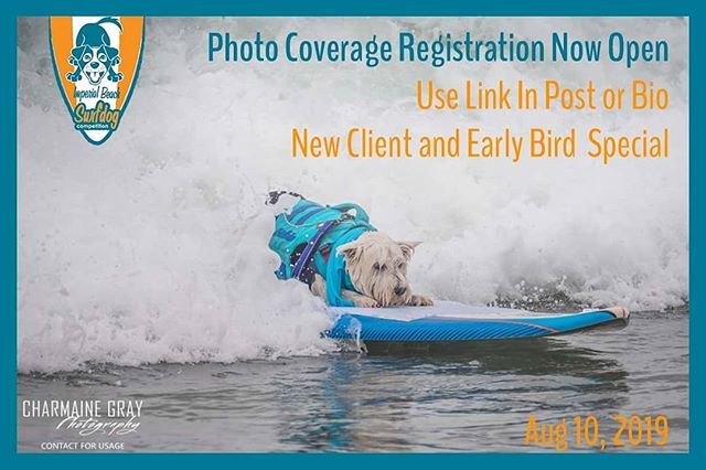 CharmaineGPhoto's tweet photo. Imperial Beach Surf Dog Photo Coverage Registration Now Open
Learn more and register for photos now at the link below or in the bio
https://t.co/Nvlm1hqphC

Seen here is @team_tristan
Register Now For Dedicated Photo Coverage
Spaces Are Limited - Fi… https://t.co/ZUZLfbl3NR https://t.co/bdpRhglAwv