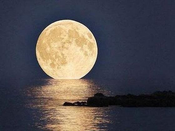 ramblingsloa's tweet photo. Goodbyes are only for those who love with their eyes.
Because for those who love with heart and soul
There is no such thing as separation.

Rumi https://t.co/5JDY3sAnP7