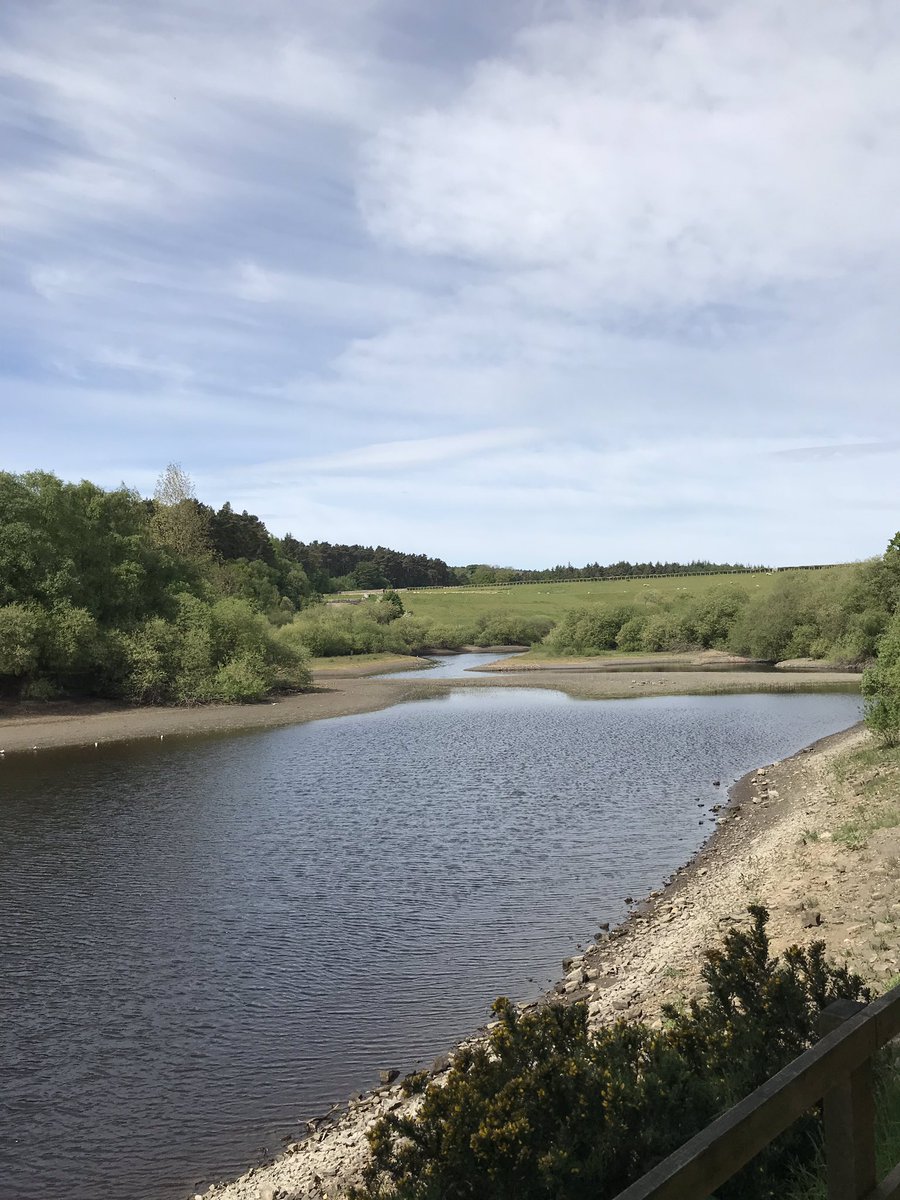 jsfirth's tweet image. Swinsty very shallow today. Hosepipe ban imminent?  @Hudsonweather