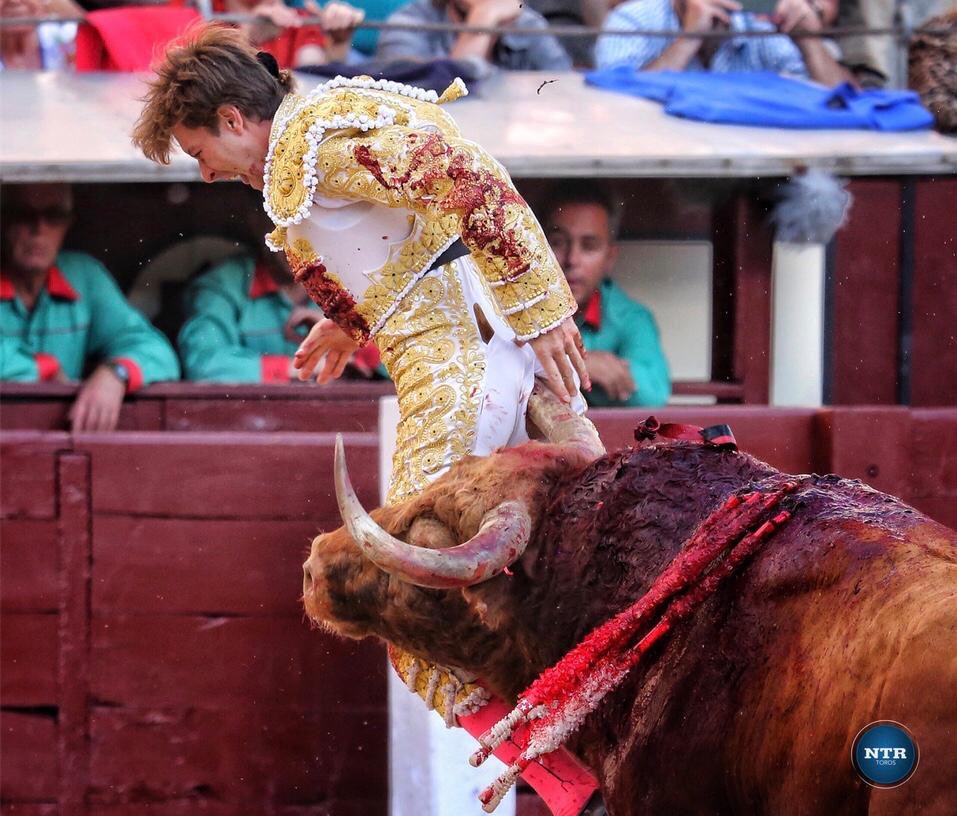 #Madrid 🇪🇸 | <a href="/JuanLealweb/">Info Juan Leal</a> ha sido prendido por su primer toro. Continuó la lidia de su ejemplar| #somosntrtoros #SanIsidro2019
📷 <a href="/FOTOBRIONES/">MANOLO BRIONES</a> / NTR Toros
