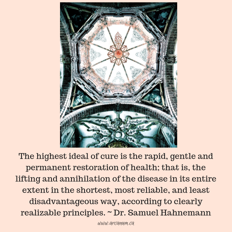 DrEddyClinic's tweet photo. RT @amcquinn: The highest ideal ... #heilkunst #timelinetherapy #detox #geneticmiasms #disease #prevention #shockstraumas #sequentialtimeline #detoxificationprotocols #chelationtherapy #heavymetaldetox #geopathicdisease #worthit #functionalmedicine #emot… https://t.co/m7h4X5og08