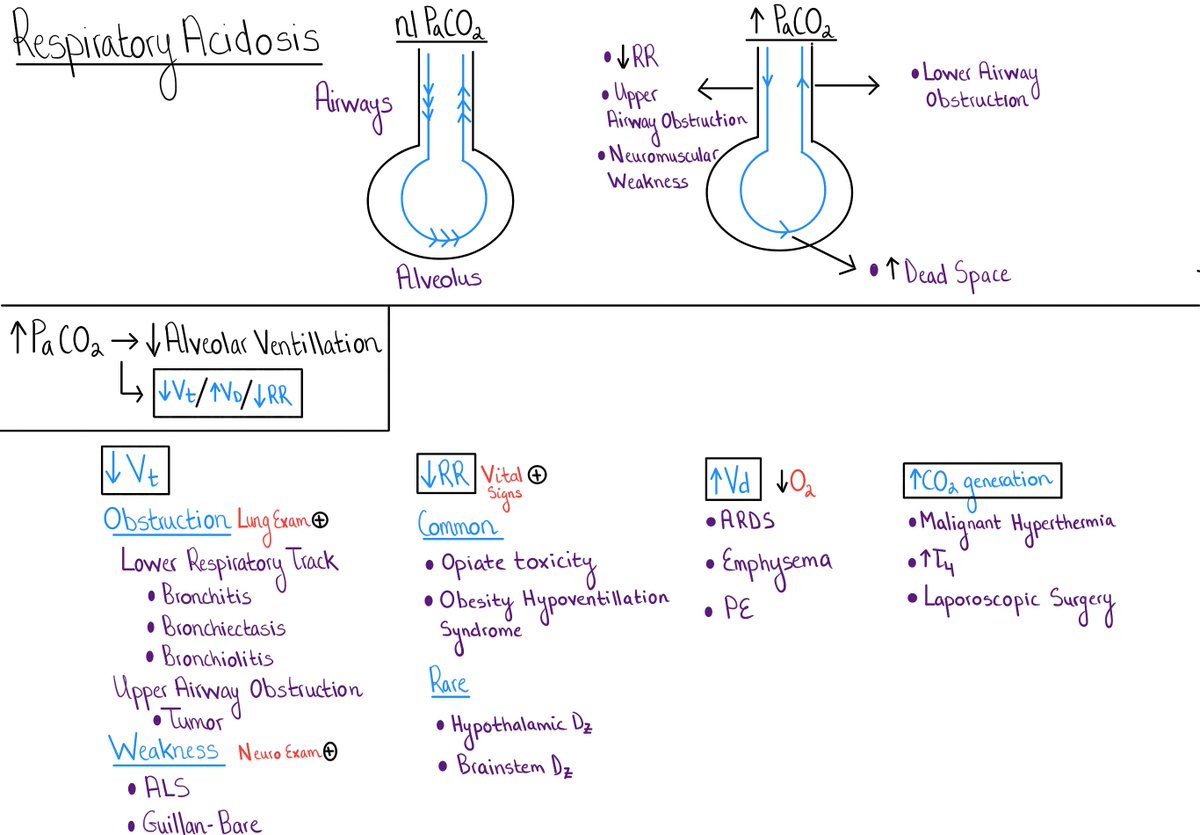 So excited to get your input on this schema for respiratory acidosis, #medtwitter! The topic came up in a recent student case conference. Thoughts/suggestions/edits? Thanks!!