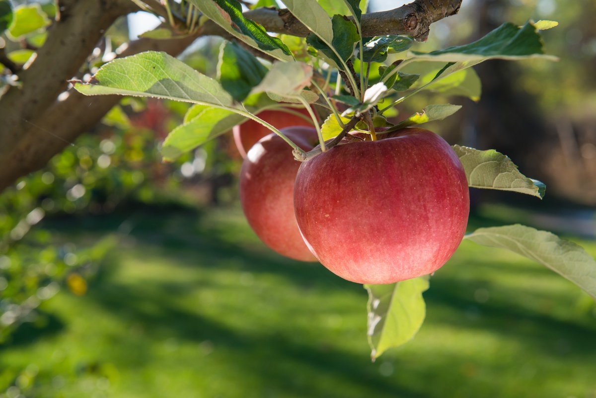 Hurry into <a href="/alivehealthctr/">Alive Health Centre</a> and SAVE with their end of May sales. *See in-store for details. #AliveHealth #Wellness #sales #Vancouver #Oakridgegram