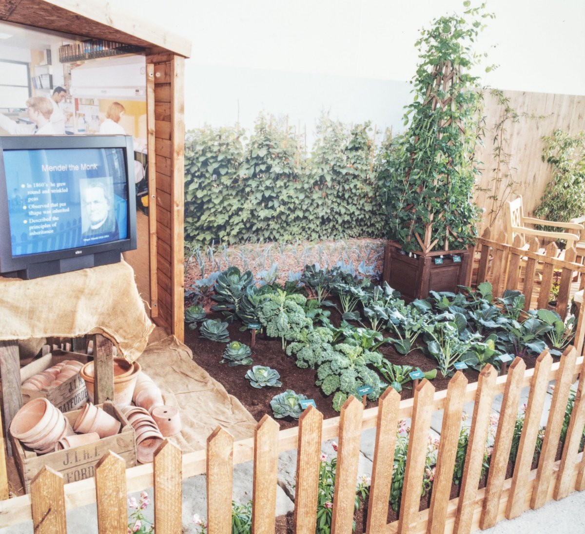 John Innes Centre tweet media