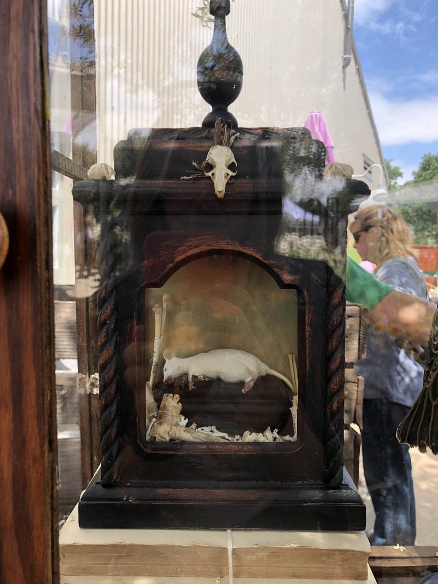 kknosey's tweet photo. Major vibes #deadmouseinspo #sonoma #fleamarket https://t.co/lxPgINyuGL