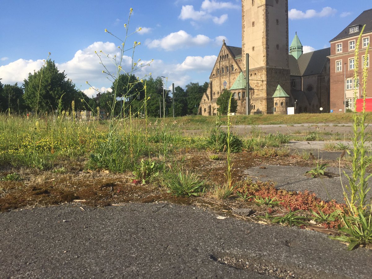 SonjaCityDNA's tweet photo. En de dag afgesloten in omgeving #Rheinpark #Duisburg. Opnieuw die ervaring van post industriële ruimte in het #Ruhrgebied.  #streetart #rijn https://t.co/wLrHmzSrMk