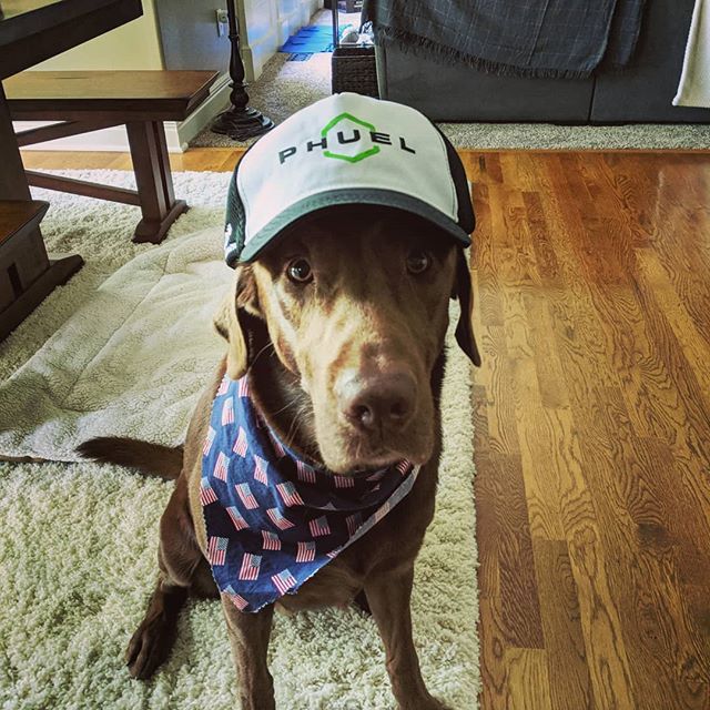 kalljayhawk's tweet photo. Wearing his #memorialday kerchief and @phuelyou trucker.....and clearly loving it!
.
#sawyerlab #dog #puppy #pup #cute #pets #dogs_of_instagram #pet #petstagram #dogsitting #dogsofinstagram #ilovemydog #instagramdogs #dogstagram #dogoftheday #lovedogs #lovepuppies #labradors… https://t.co/tiAFVzAhLo