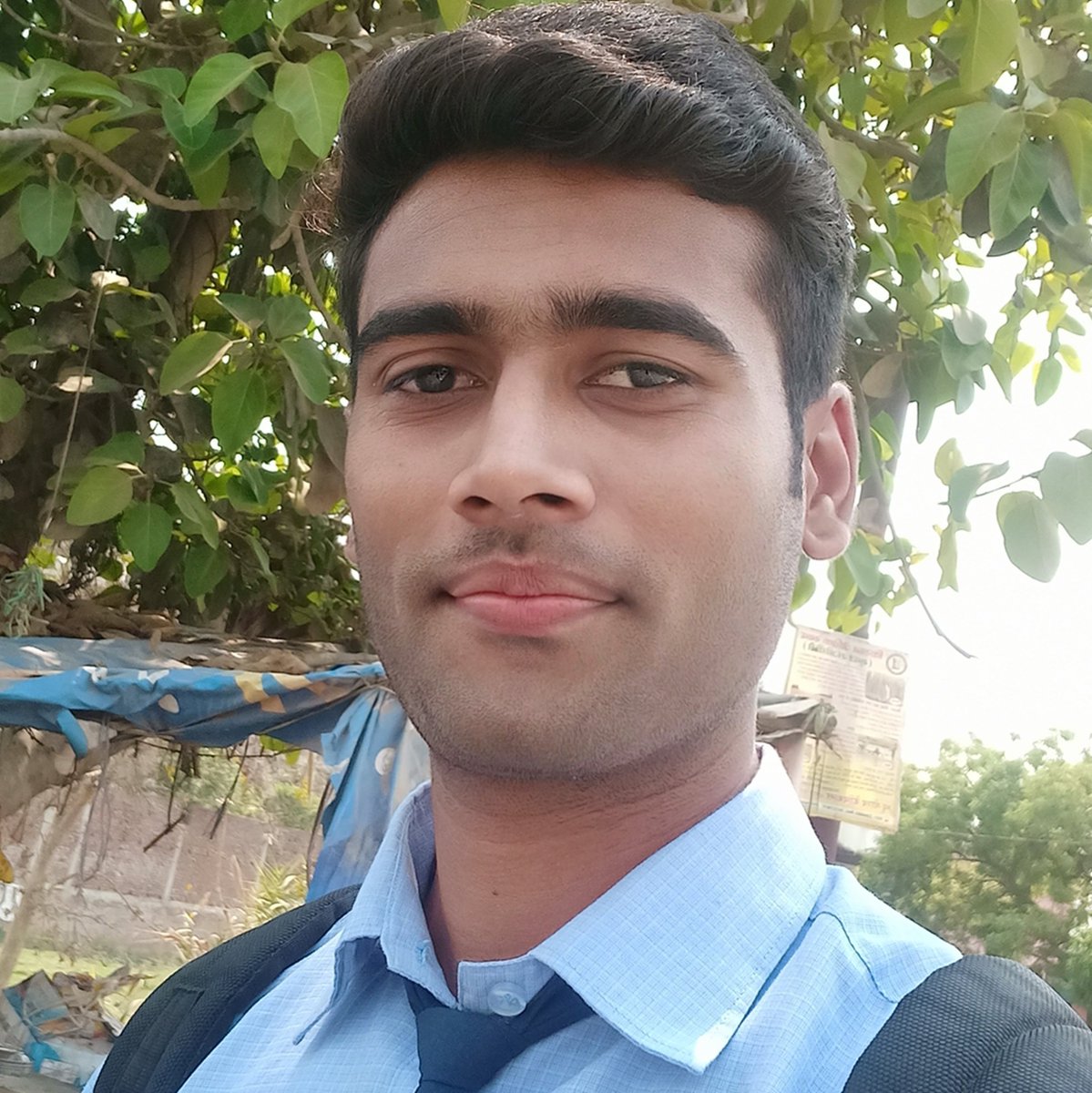 Without struggle grouth is never possible