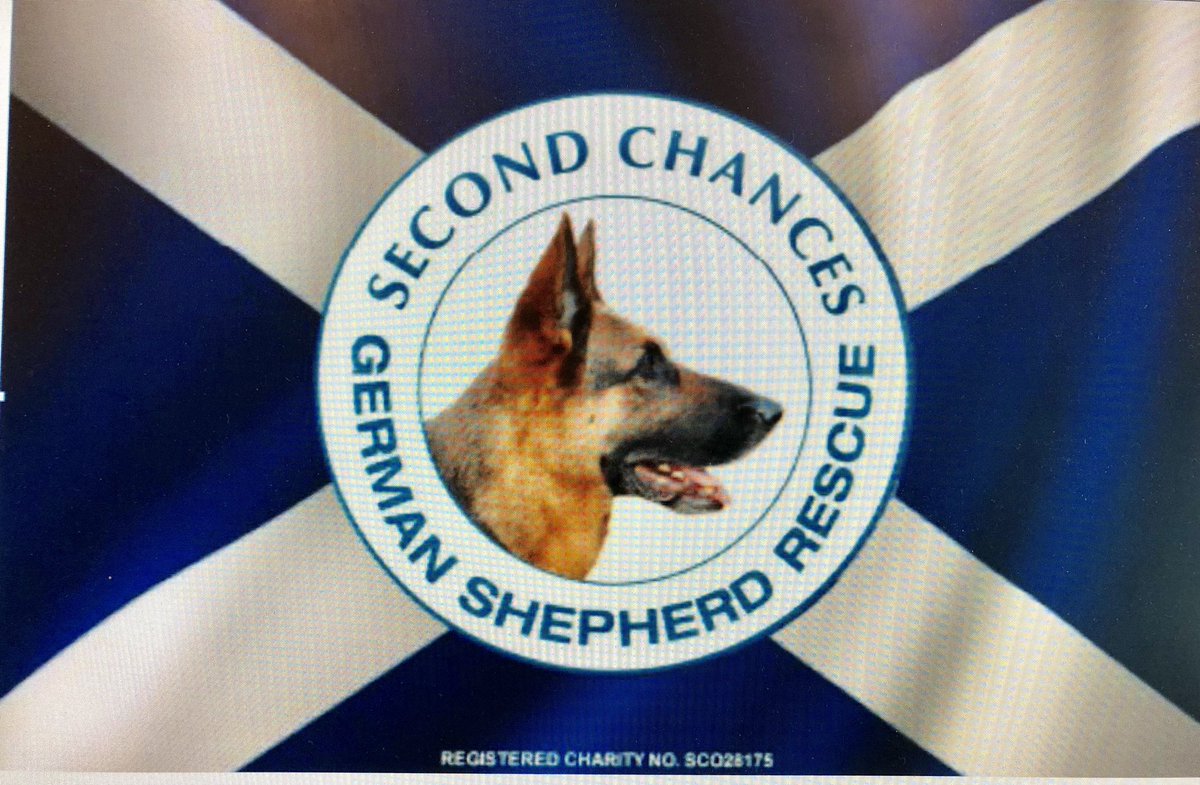 SCGS_R's tweet image. Hi all,
 
I am doing a sponsored abseil off the Falkirk wheel, 100 feet, on 18 June 2019 to raise funds for Second Chances German Shepherd Rescue.
 
sponsorme.co.uk/paulburke/sa19…