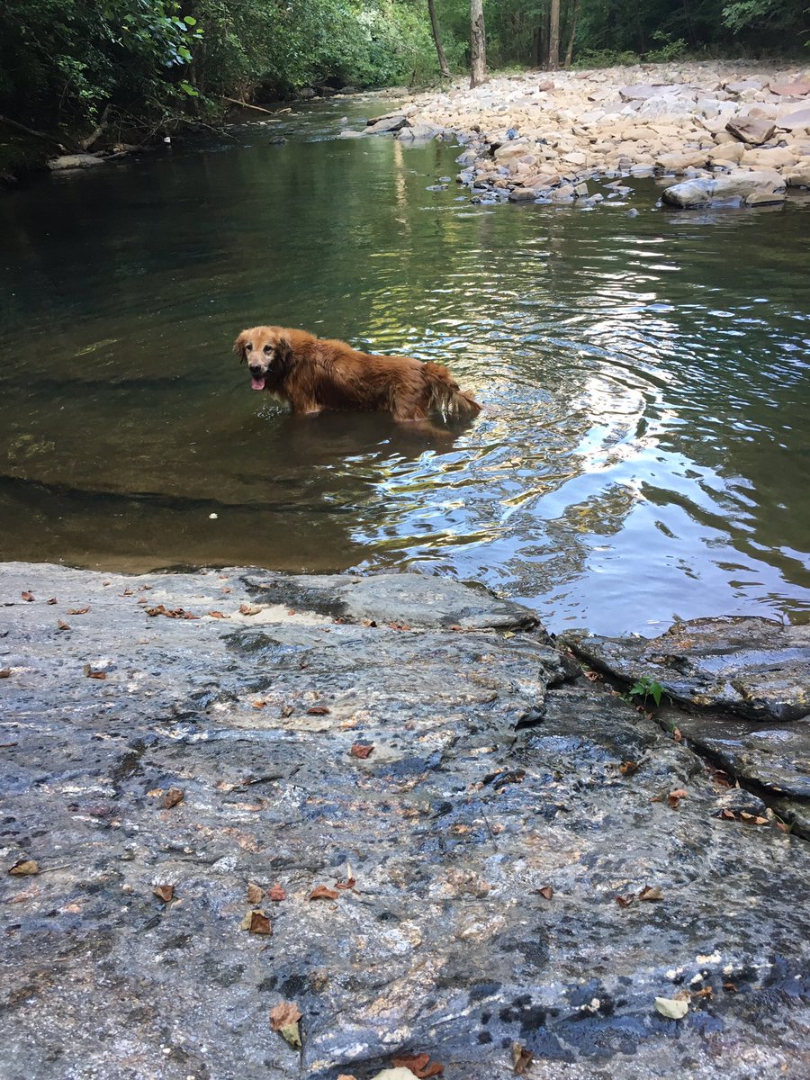 PopeEcon's tweet photo. Summertime. https://t.co/9LBqFOYsKy