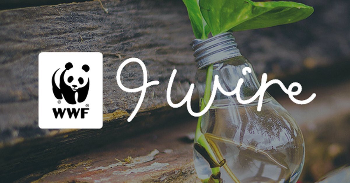 Colm Kearney tweet media