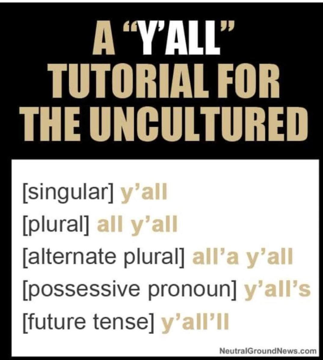 ♦️Break Every Rule♦️ tweet media