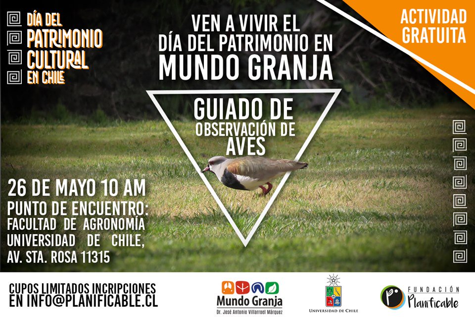 ¡Mañana celebramos el Día del Patrimonio observando aves!
 A las 10:00am en la facultad de Agronomía de la Universidad de Chile en La Pintana. 
Junto nuestros amigos de ventralis.cl quienes tendrán una entretenida sorpresa 🤫

 #planificable #educación #sustentabilidad