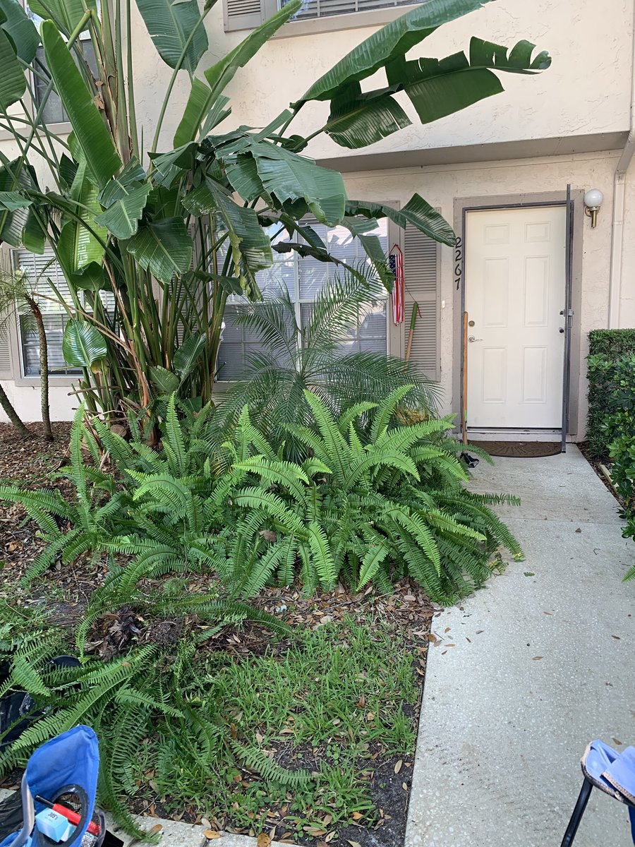 JosephPinzon11's tweet image. 