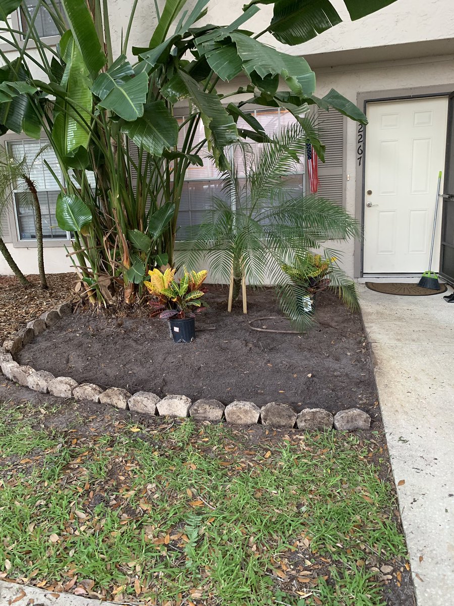 JosephPinzon11's tweet image. 