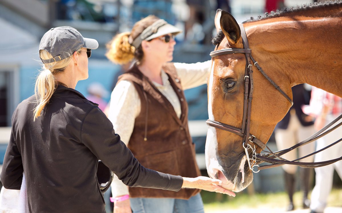 Devon Horse Show tweet media