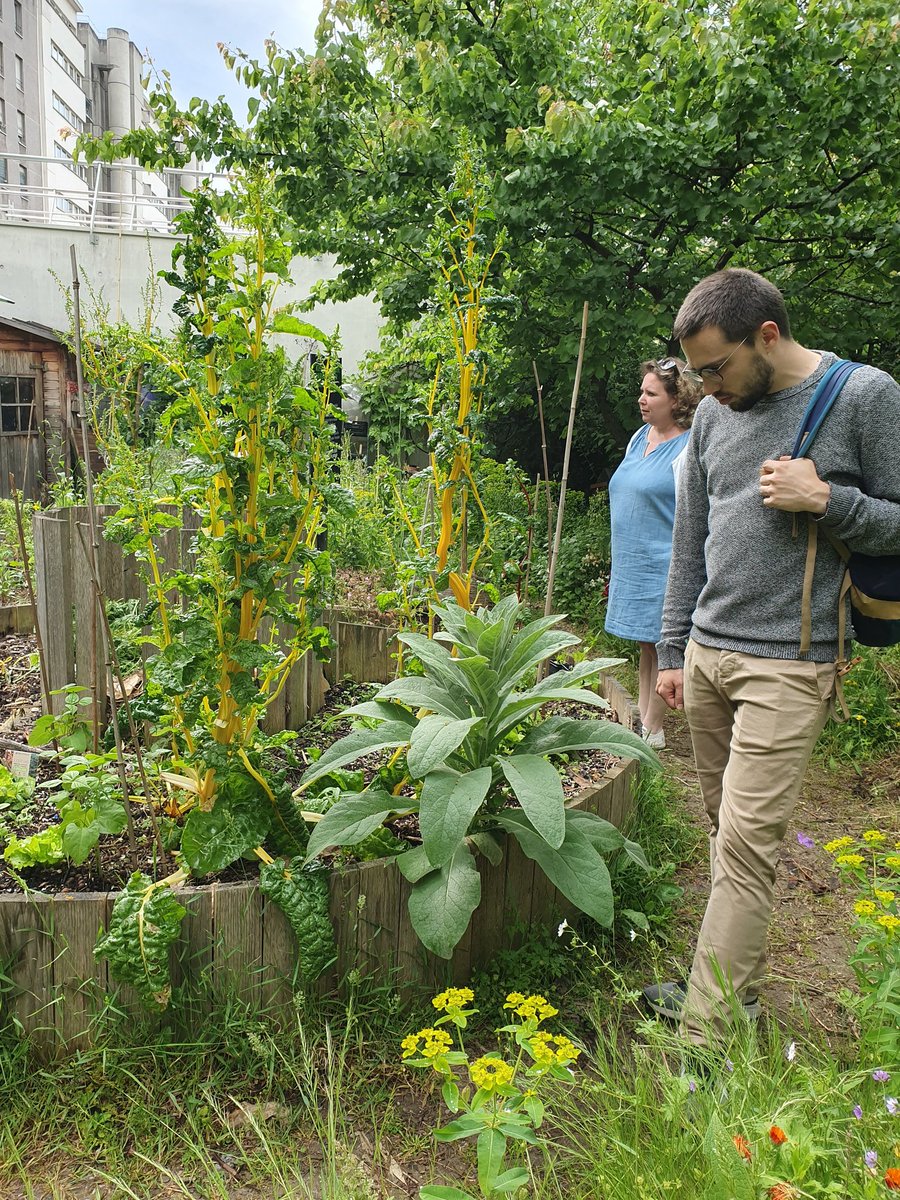 Super balade des initiatives citoyennes pour plus de vert en ville dans le 12eme pour #Parisdelavenir CC <a href="/MaisonAssos12/">MVAC12</a> centre Paris anim Maurice Ravel jardin Debergue !