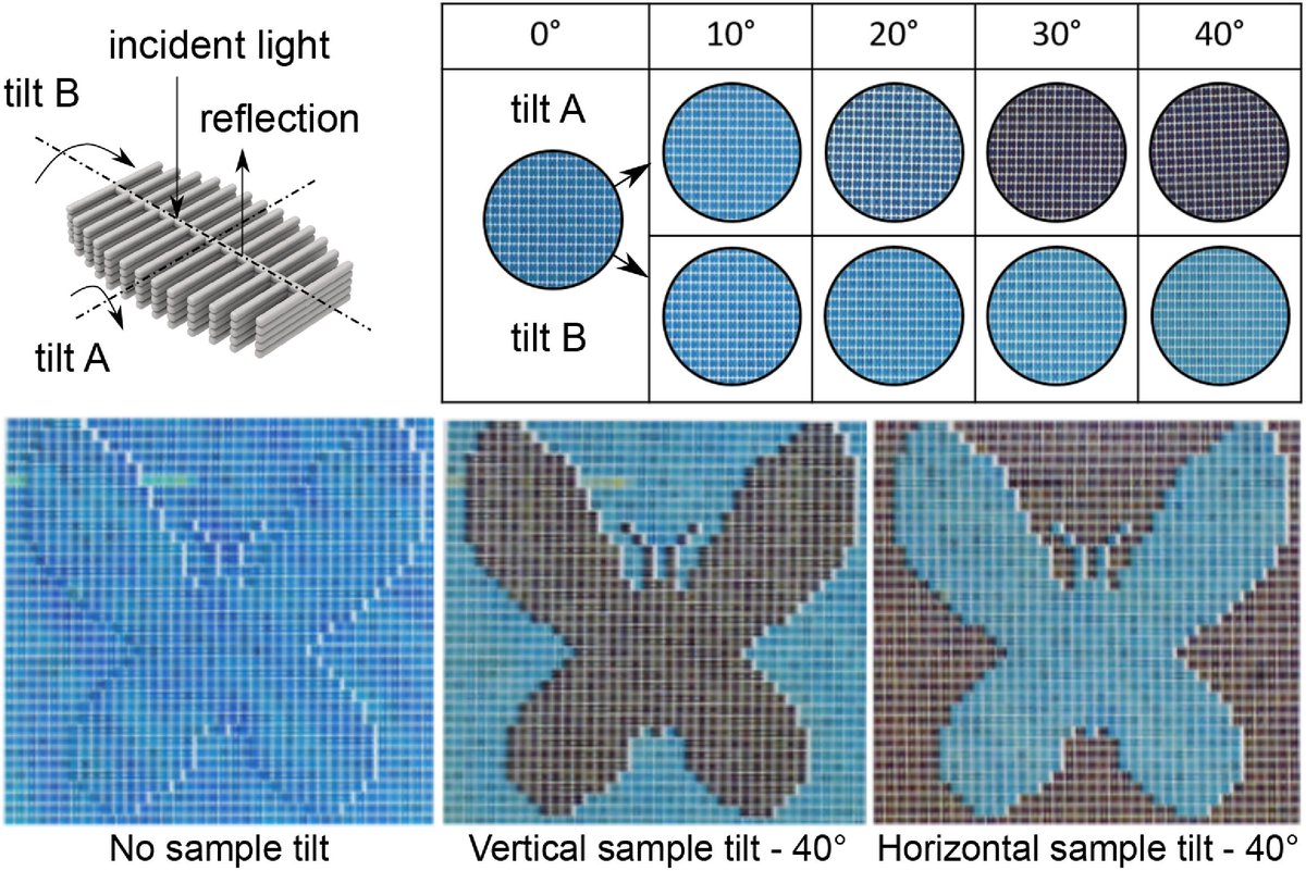 OpticaPubsGroup's tweet photo. via the Laser Writing Feature Issue of #OSA_OMEx: Biomimetic structural coloration with tunable degree of angle-independence generated by two-photon polymerization https://t.co/7gO7f2dRQs #LaserWriting #StructuralColor @ruhrunibochum https://t.co/E2XdUjrE5B