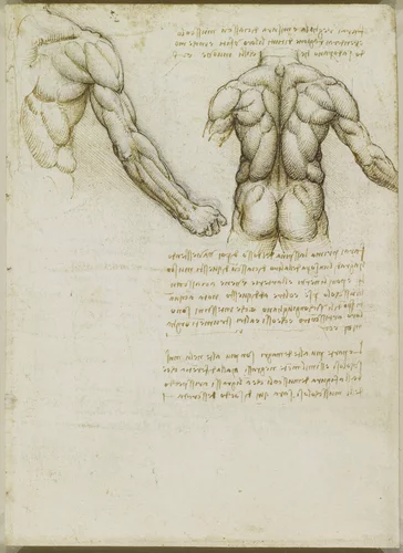 ElizStJohn's tweet photo. Wish I could stop by Holyrood House for the #ArtandPower Exhibit. The Da Vinci sketches alone are magnificent.

https://t.co/N9gCgDkBnt

#StuartsSaturday #StuartArt #Restoration #Leonardo https://t.co/k2vHkAZ8Ix