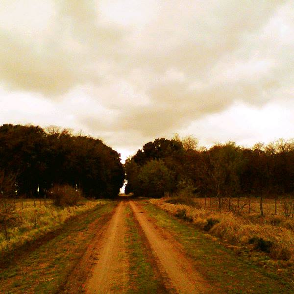 Crioshito's tweet photo. Espectacular recuerdo me tira facebook.
Mi pampa querida.... caminitos rurales. Llanuras bonaerenses
#ThePhotoHour #countryside #ruralpath #naturephoto #autumn https://t.co/ZQY7T0a8tB