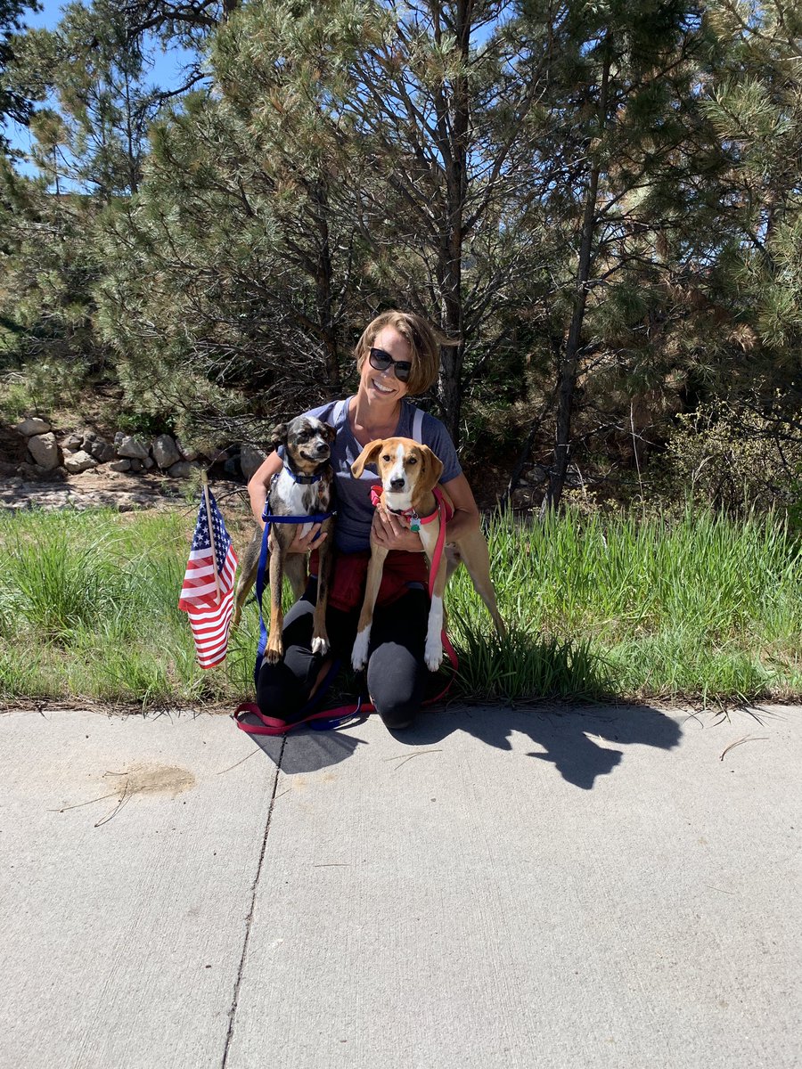SamBoik's tweet photo. My paw-triotic pups 🐾😉🇺🇸 #memorialdaymarch https://t.co/I0grycQQ1k