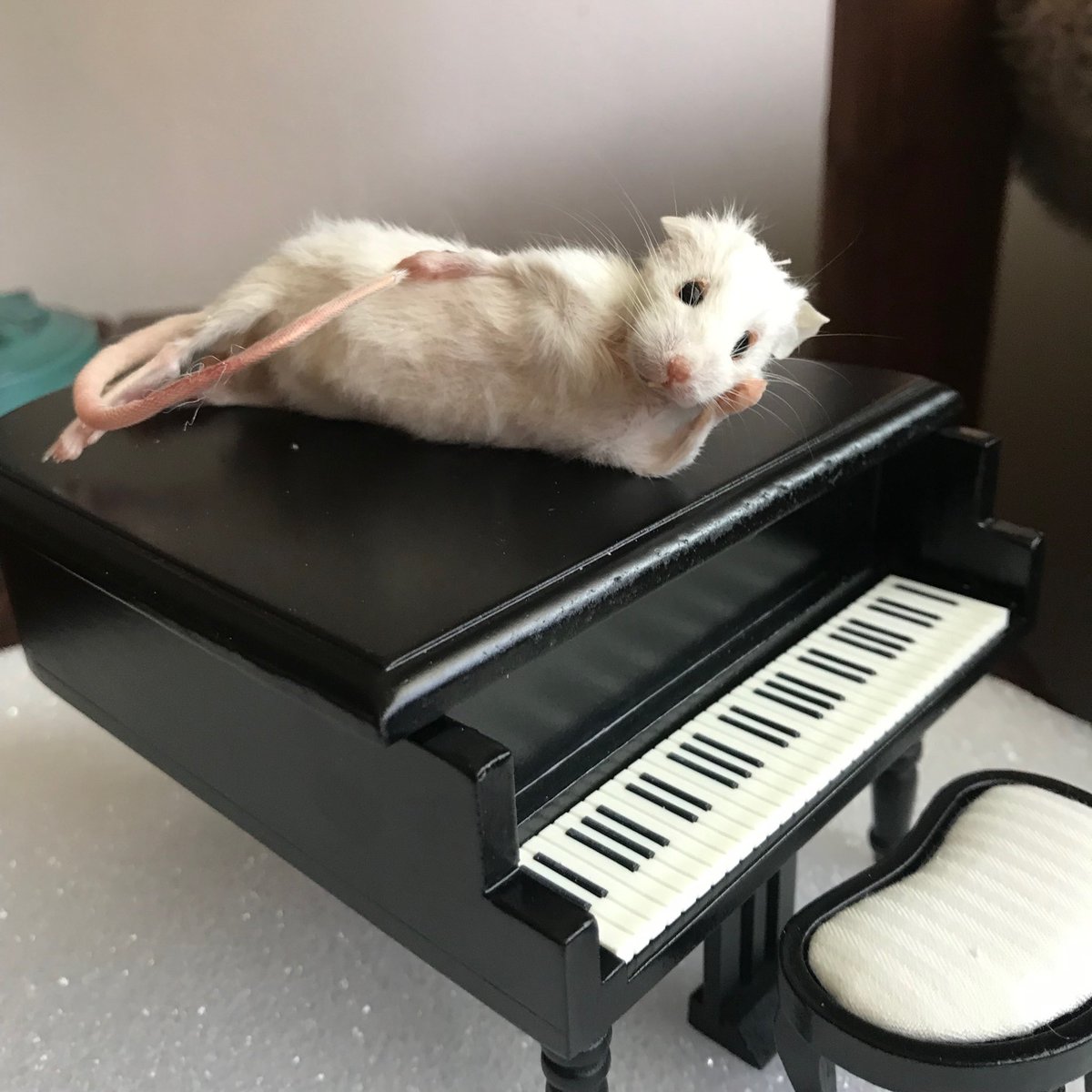 pixelpreaching's tweet photo. Y’all.

I got this text from my sister. Then about three hours later received this photo from her. https://t.co/lLmnMFlrWx