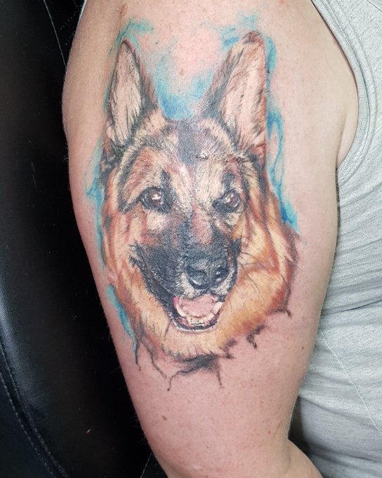 Healed! So happy with how this tattoo has healed ? no filter! Would love to do more animal portraits