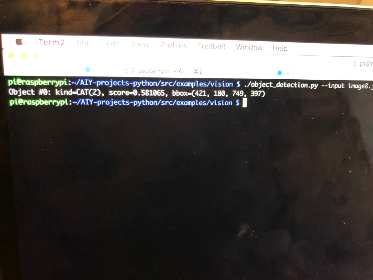 hortonhearsafoo's tweet image. Finally broke out the Google Vision Kit that&apos;s been on my shelf for months. I achieved my ultimate goal: detection of my cats in photos. Thanks to @nnja for the #PythonHardware inspiration in your #PyCon2019  keynote!