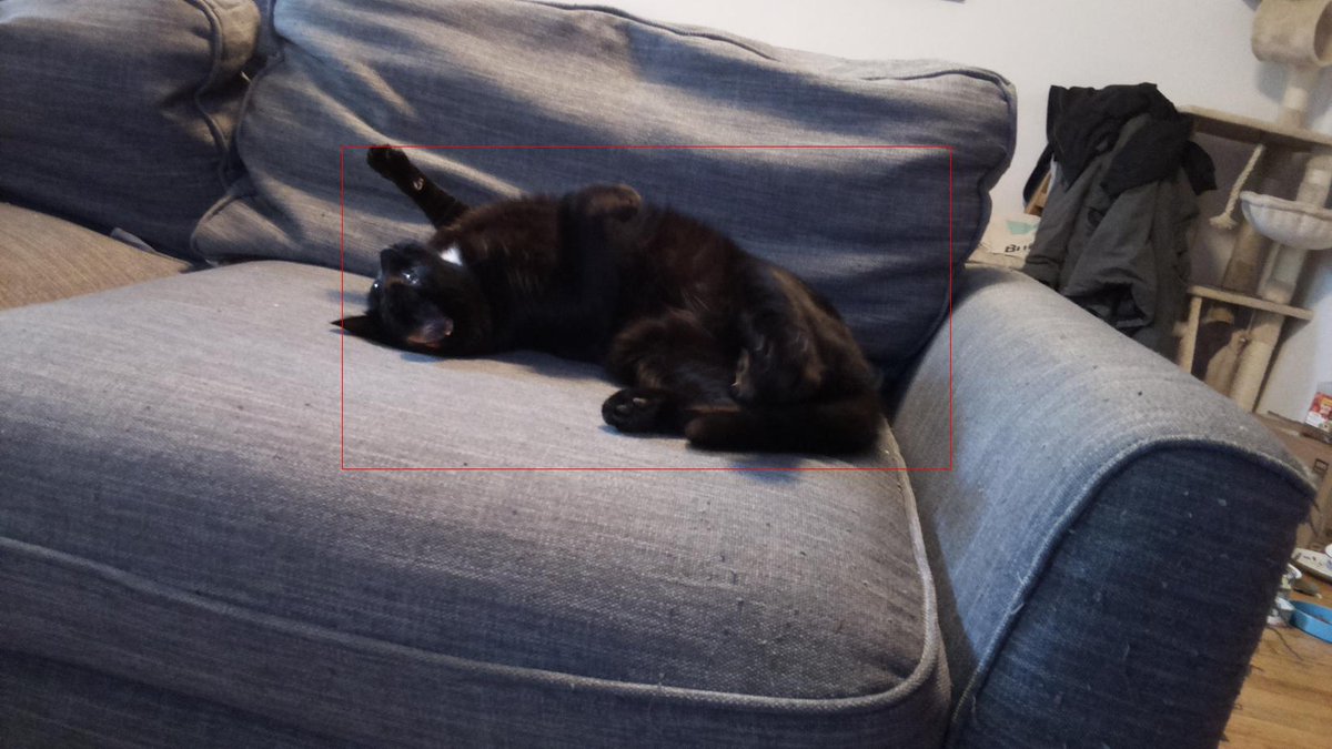 hortonhearsafoo's tweet image. Finally broke out the Google Vision Kit that&apos;s been on my shelf for months. I achieved my ultimate goal: detection of my cats in photos. Thanks to @nnja for the #PythonHardware inspiration in your #PyCon2019  keynote!