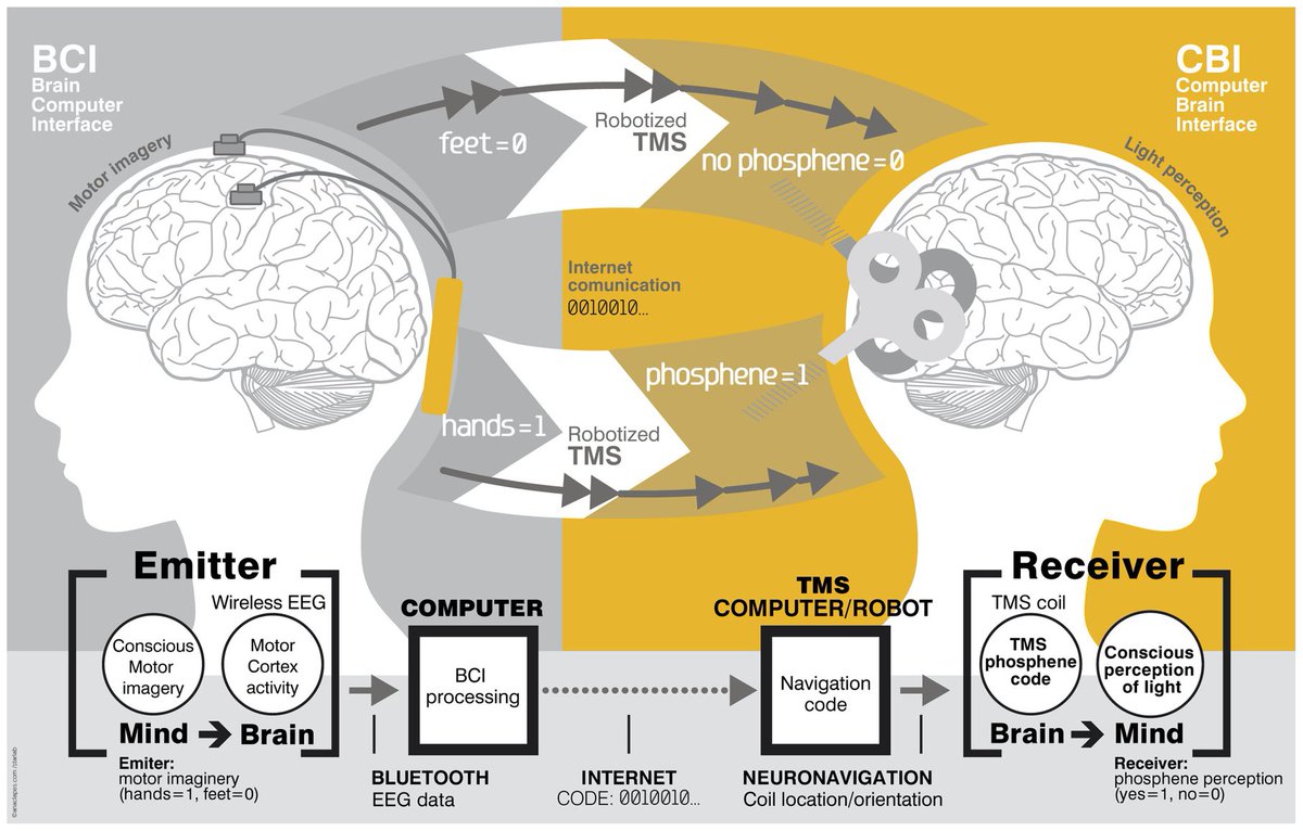 awakeables's tweet image. Our natural brain is a "interface" or "modem" creating a connection to a higher dimension. The EM-Field created by our brain makes all cells in our body resonate. Consciousness has been Smart hacked..  #biotechnology #emf #dna