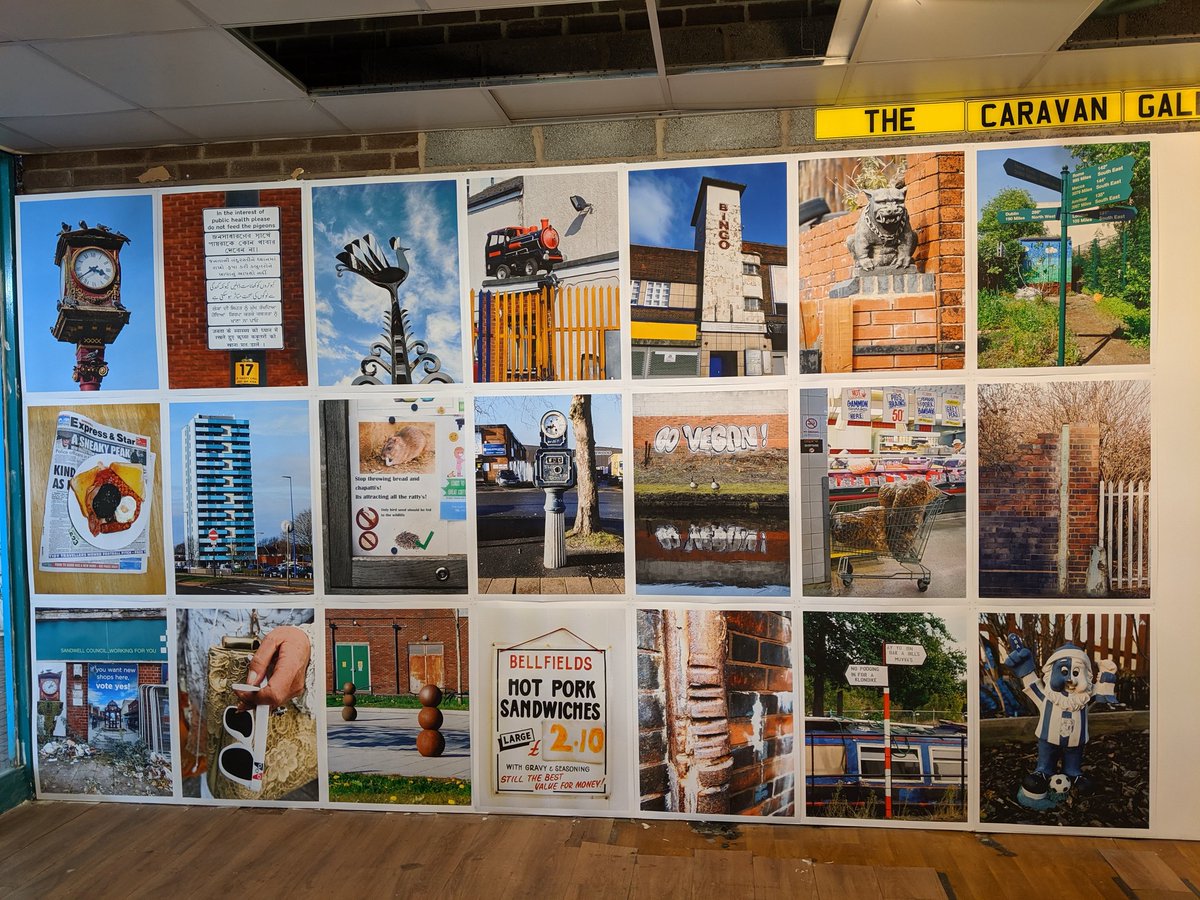 Tracey Thorne tweet media