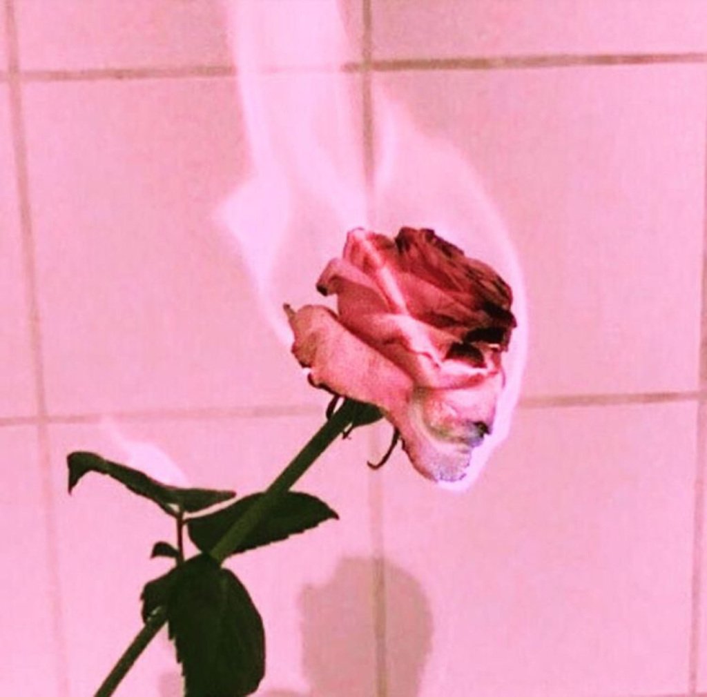 theoddgalwrites's tweet photo. CRAZY OLD LOVE🤪 https://t.co/AG7Ylal1GW https://t.co/nN6GsECDJt