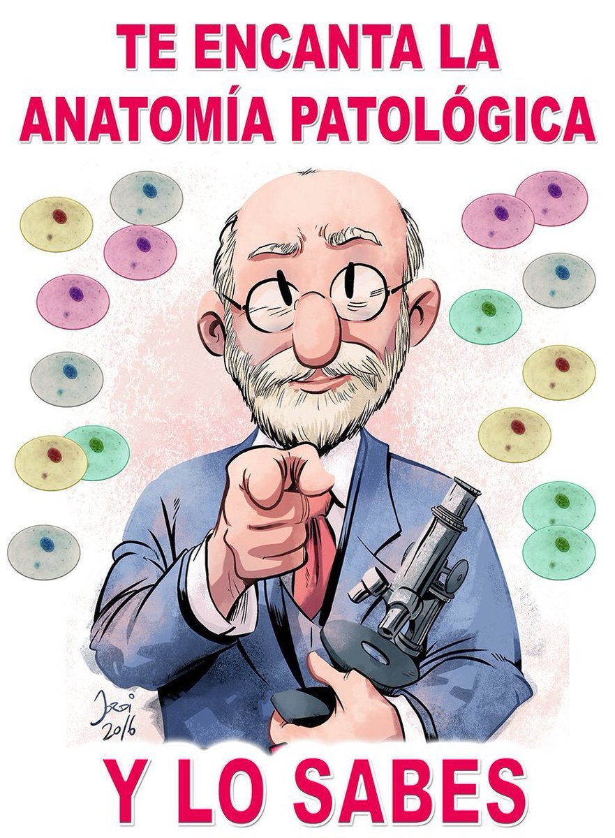 PequeñaTEAP tweet media