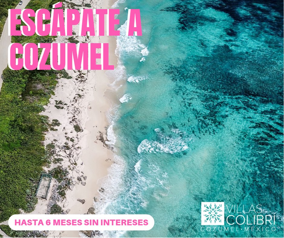 VillasColibriCo's tweet photo. Escápate a Cozumel y disfruta de las playas hermosas que nos ofrece el caribe mexicano. #Cozumel #PlayasMexicanas #EscapateACozumel #SinSargazo #FelizSabado #bestvacations #CaribeMexicano https://t.co/e3DpGzJNLY