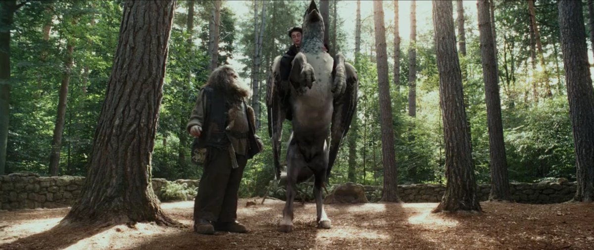 HogwartsTurk's tweet photo. - Nasıl yani? Harry Potter hipogrif mi kaçırdı?
- Hayır Profesör, hipogrif Harry Potter'ı kaçırdı. https://t.co/EmzbXeJHkH