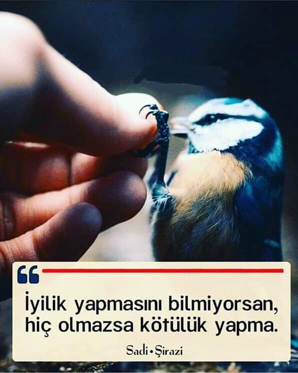 veyaAynur's tweet photo. Kalbiniz gibi geçsin tum hayatınız......!!!
Iyi geceler dostlar https://t.co/9CwFxr8DVE