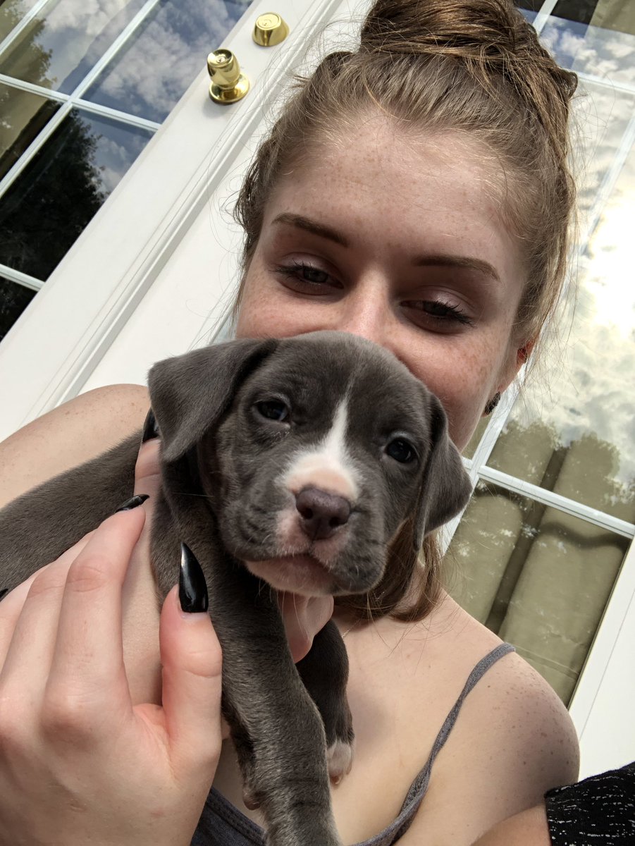 ItWilliam's tweet photo. Pits are sum serious 😈 https://t.co/Na3527DktX