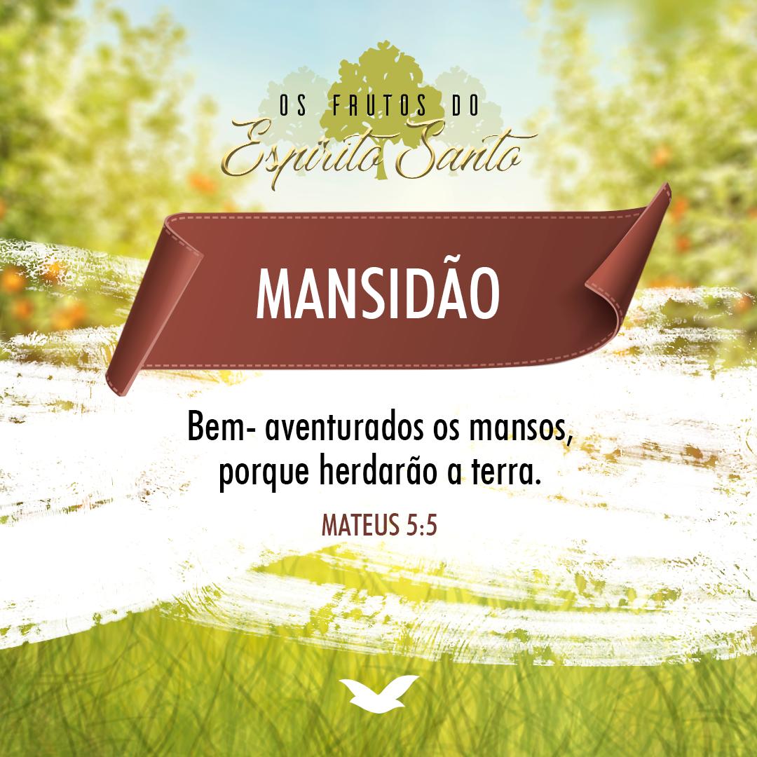 IgrejaUniversal's tweet photo. A mansidão é o resultado da verdadeira humildade, pelo reconhecimento do valor alheio, com a recusa de nos considerarmos superiores. Foi necessário ter um espírito manso, a fim de vencer as tentações. Leia o livro "Nos passos de Jesus" do Bispo Macedo. https://t.co/g2ip2WckQr https://t.co/oNP7MS2nXc