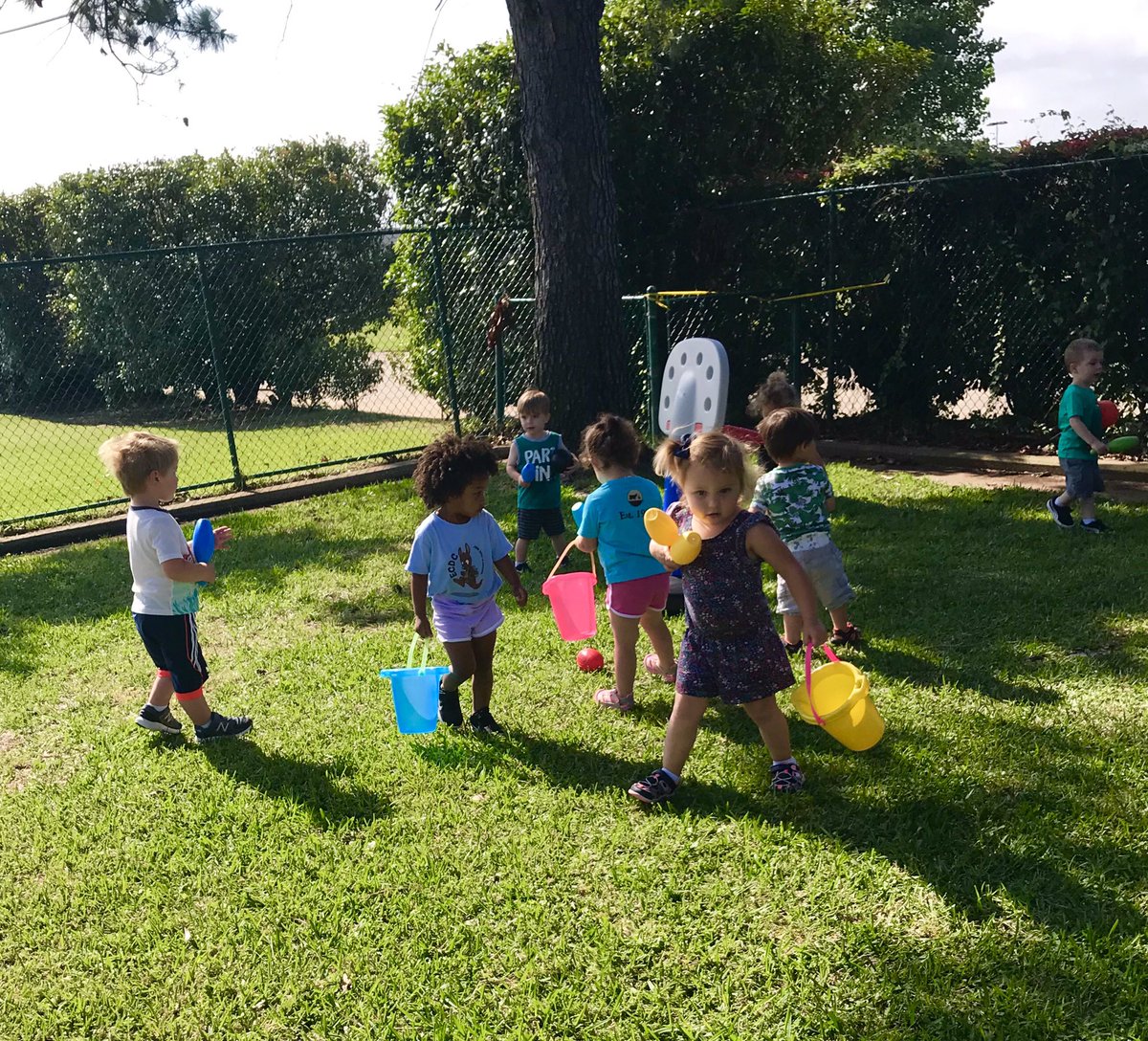 ECDC Bumble Bee tweet media