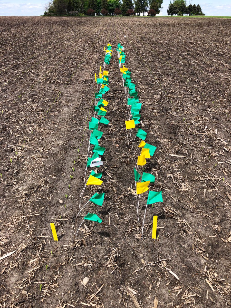 Dale McMullen tweet media