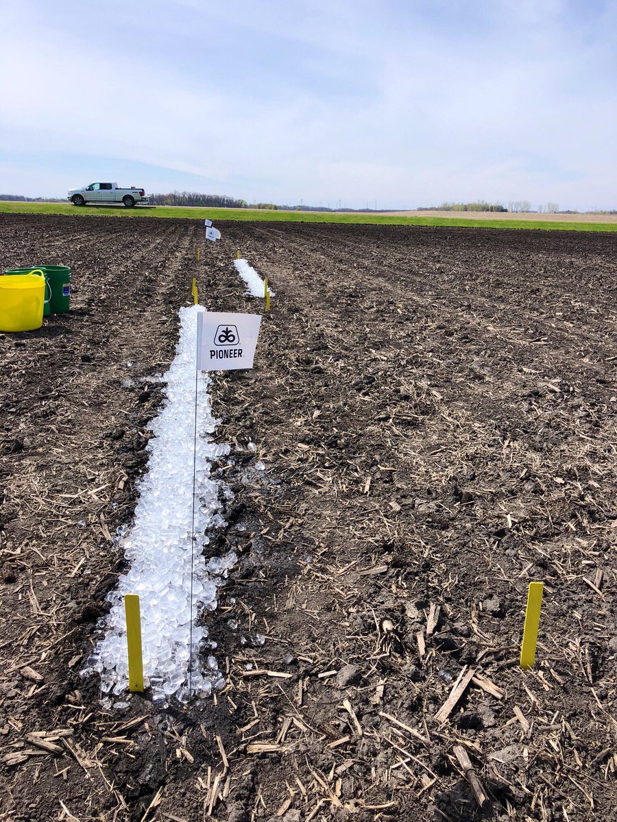 Dale McMullen tweet media