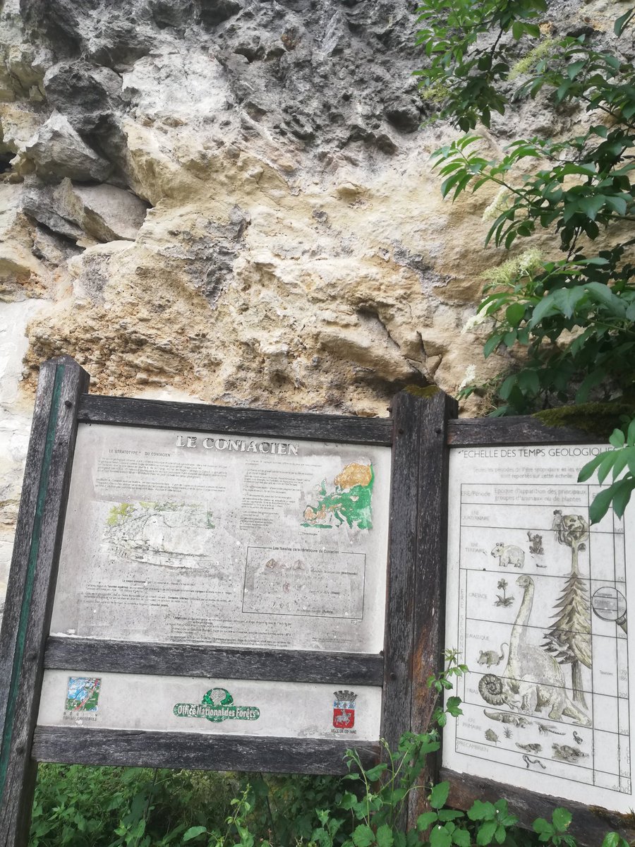 StephTRIFILETTI's tweet photo. Toute la journée sur le terrain avec les professionnels et les praticiens des Sciences de la Vie et de la Terre. Approches scientifiques, techniques et culturelles via l'Association des géologues du sud ouest AGSO et @APBG_National
#Stratotype #coniacien.
#ENEDS @NvelleAquitaine https://t.co/MIfoOCM0Fi
