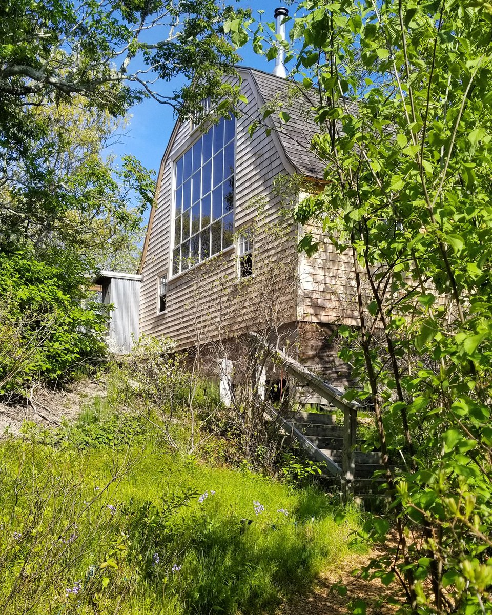 20summers's tweet photo. Happy Memorial Day Weekend everyone! Summer is here at the Barn 🌿🌞🇺🇸
#twentysummers #dappledsunlight #sunshine #leafytrees #summertime #memorialdayweekend #provincetown #capecod #hawthornebarn #happysummer https://t.co/IAy6r0f7Ky