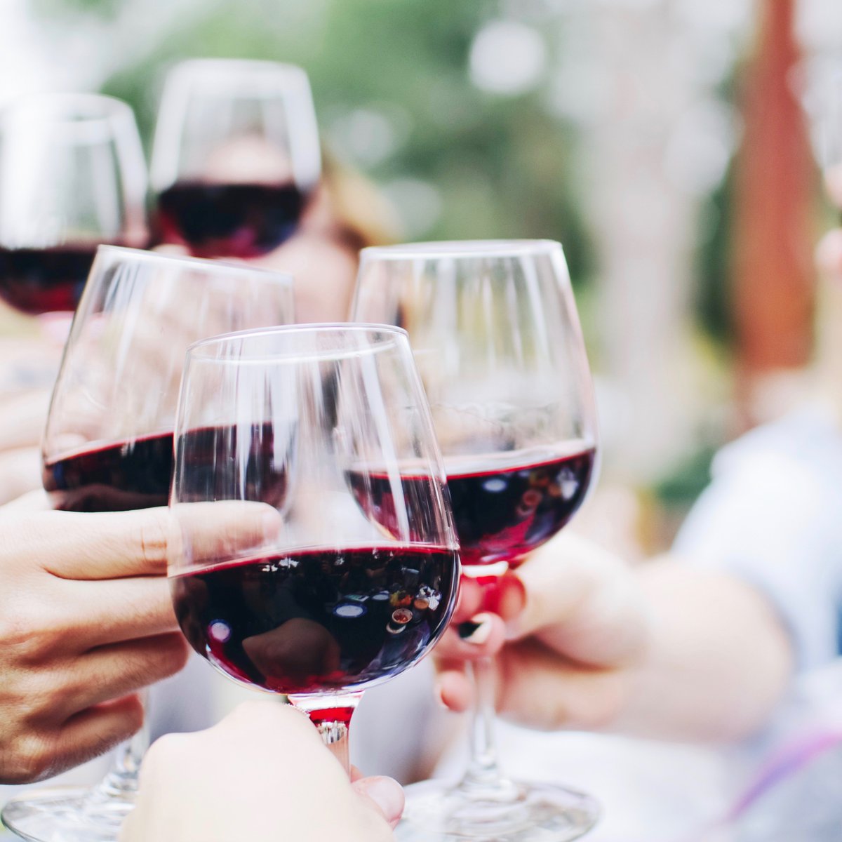 WindsorChicago's tweet photo. It's National Wine Day and we are offering 1/2 off bottles! Come celebrate! https://t.co/0T4t6cU9MX